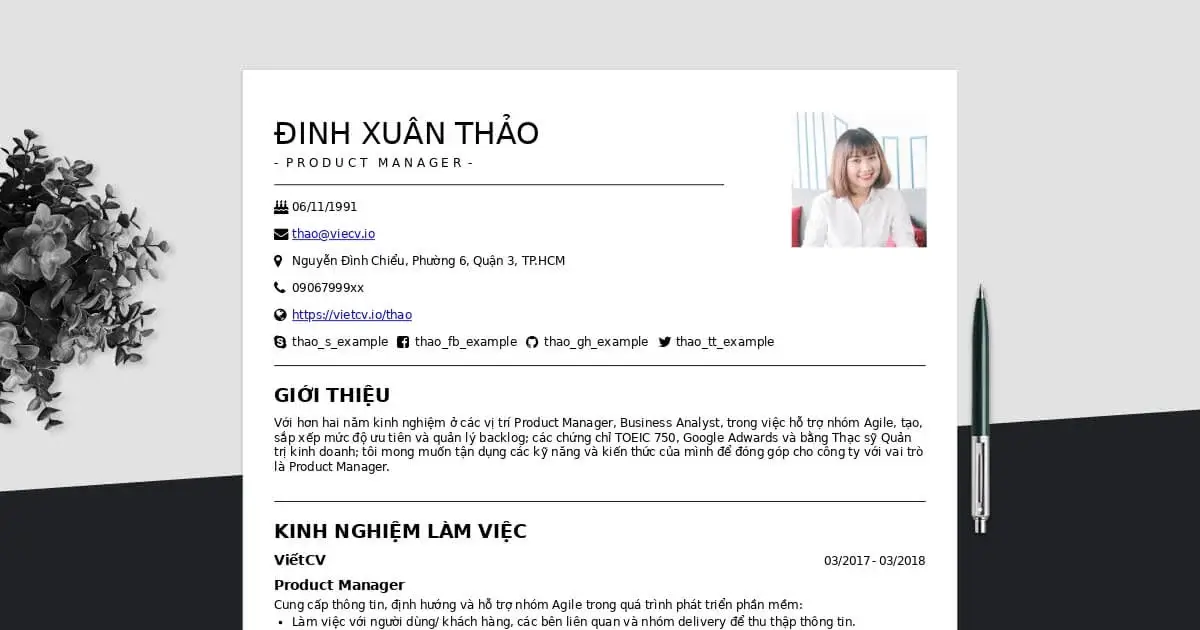 mẫu cv truyền thống