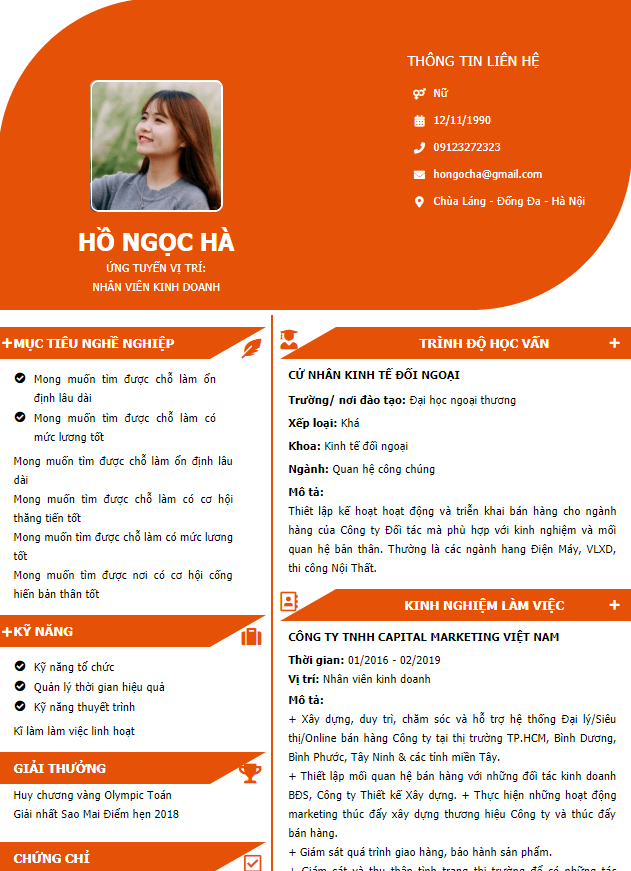 Mẫu CV online tham khảo 1