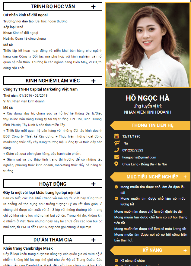 Mẫu cv online tham khảo 2