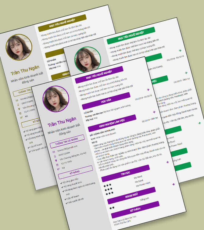 Mẫu CV xin việc Bất động sản Mẫu CV xin việc ngành Bất động sản