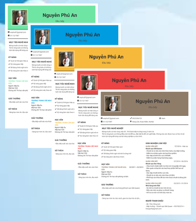 MẪU CV NGÀNH F B